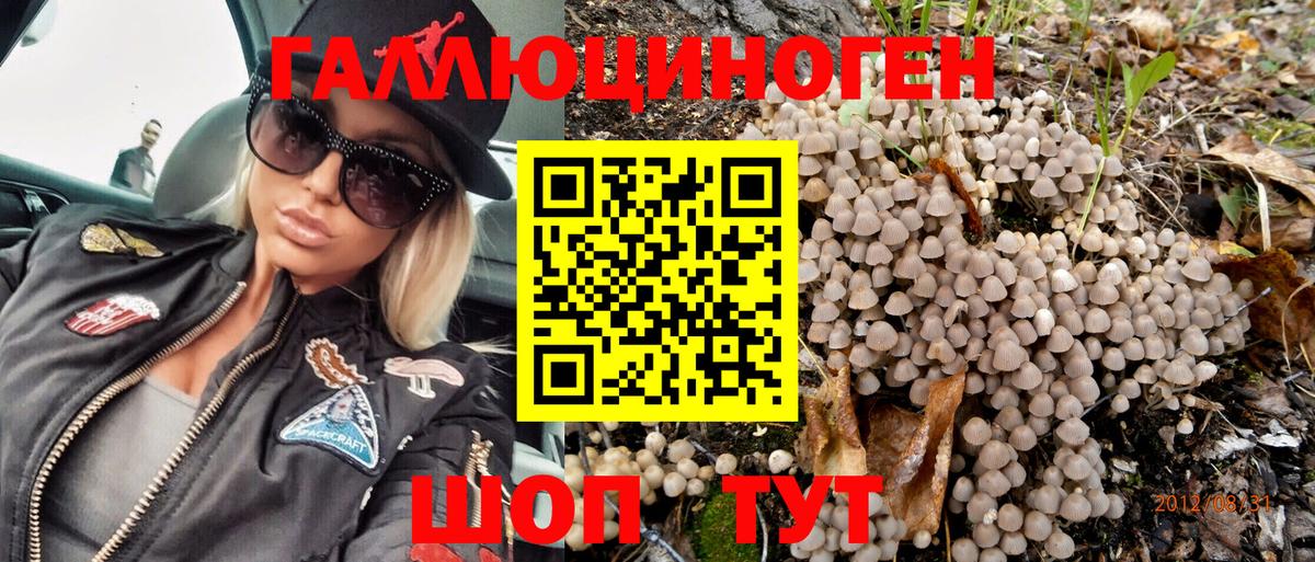 Галлюциногенные грибы Magic Shrooms Тобольск